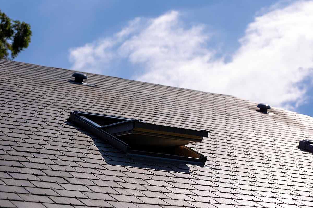 2023641854.jpg Skylights Eastern suburbs VIC